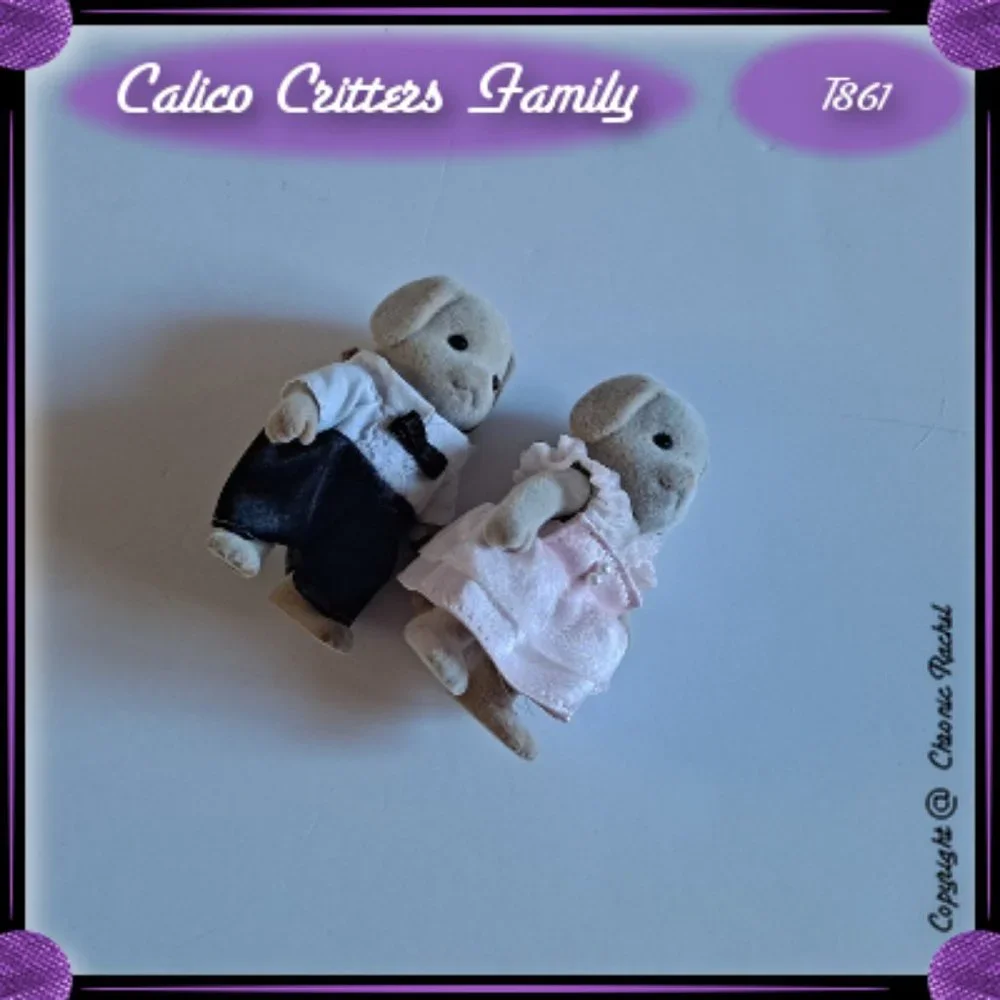 Fancy Basset Dog Adults
